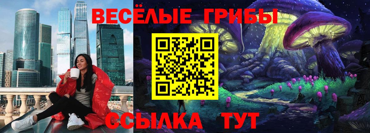 Галлюциногенные грибы MAGIC MUSHROOMS Павловский Посад